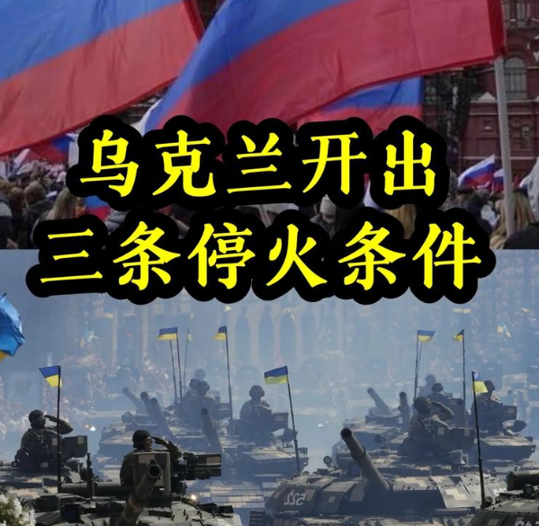 美国务卿：俄乌停火条件“不够接近”，无法与